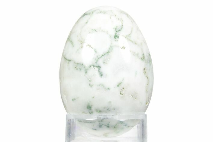 Polished Tree Agate Egg - India #356334